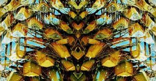 arthropod SMALL