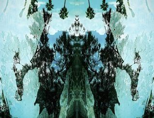 phantom forest empress SMALL