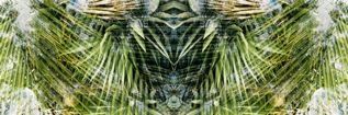 the mantis SMALL